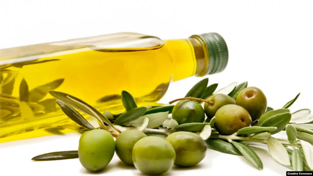 Cancer olive oil