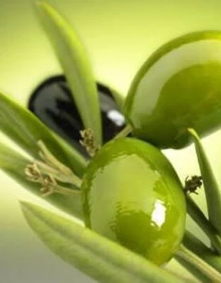 Extra virgin olive oil benefits 