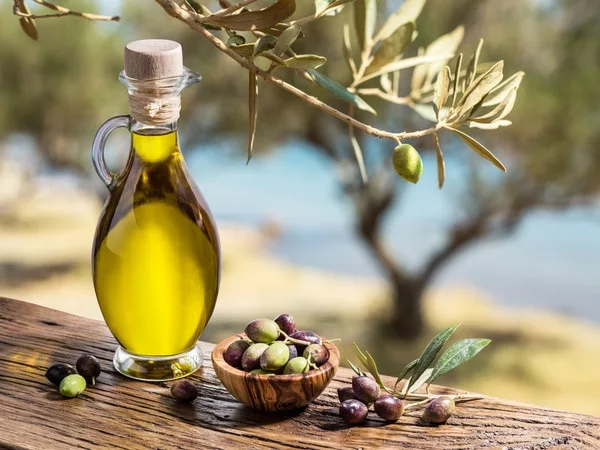 olive oil olives