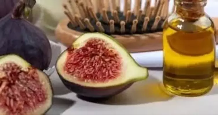 olive oil fig cure